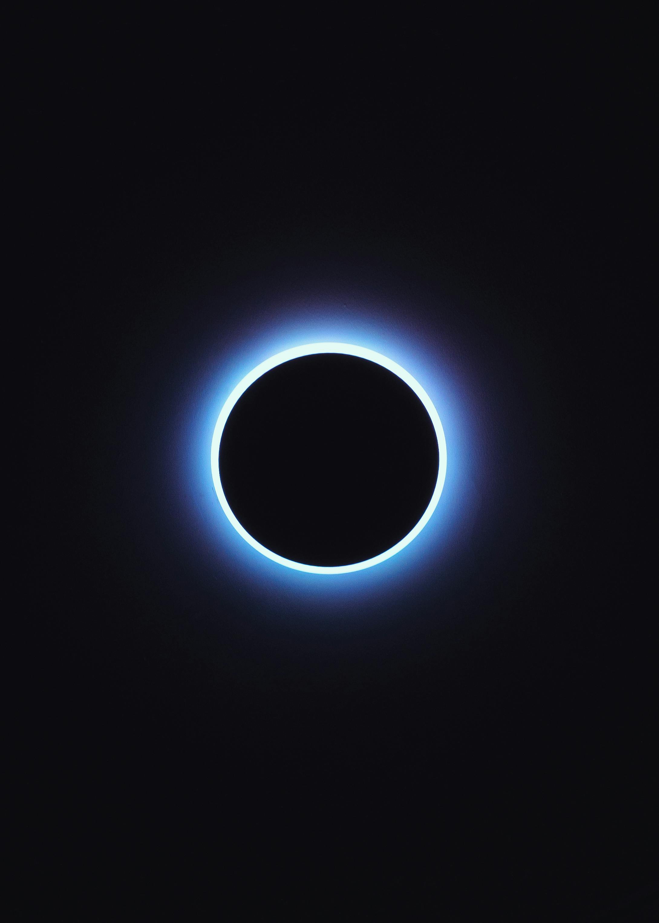 Photo of rows of books in a library with marble busts.